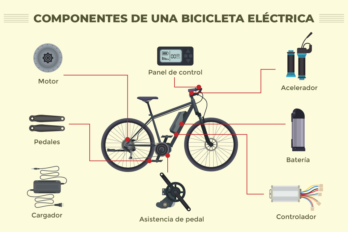 Anatom a De Una Bicicleta