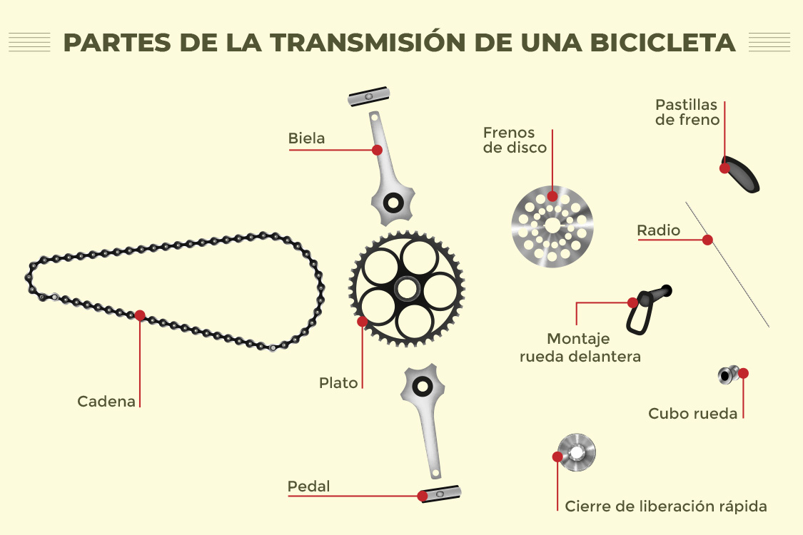 Infografía de las partes de la transmisión de una bicicleta